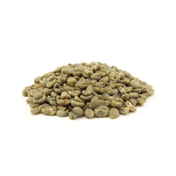 Coffee Seeds  <br> تخم کافی